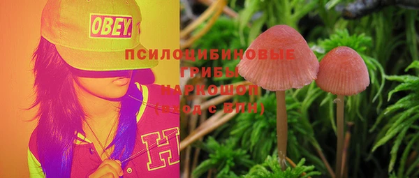 mdpv Беломорск