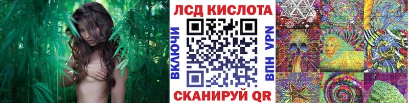 omg ONION  Наволоки  Марки N-bome 1,5мг 