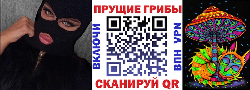 дарк нет какой сайт  Наволоки  Галлюциногенные грибы Cubensis 